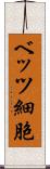 ベッツ細胞 Scroll