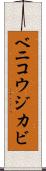 ベニコウジカビ Scroll