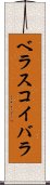 ベラスコイバラ Scroll