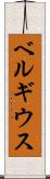 ベルギウス Scroll