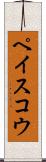 ペイスコウ Scroll