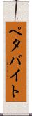 ペタバイト Scroll