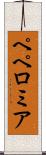 ペペロミア Scroll