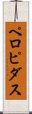 ペロピダス Scroll