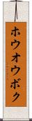 ホウオウボク Scroll