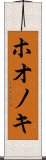 ホオノキ Scroll