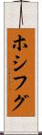 ホシフグ Scroll