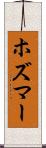 ホズマー Scroll