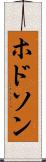 ホドソン Scroll