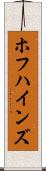 ホフハインズ Scroll