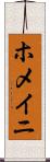 ホメイニ Scroll