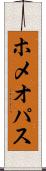 ホメオパス Scroll