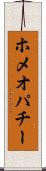 ホメオパチー Scroll