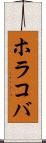 ホラコバ Scroll