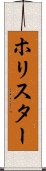 ホリスター Scroll