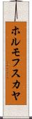 ホルモフスカヤ Scroll