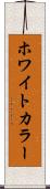 ホワイトカラー Scroll