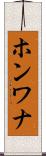 ホンワナ Scroll