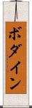 ボダイン Scroll