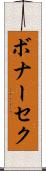 ボナーセク Scroll
