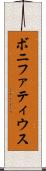 ボニファティウス Scroll
