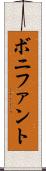 ボニファント Scroll