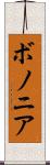 ボノニア Scroll