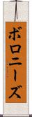 ボロニーズ Scroll