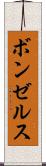ボンゼルス Scroll