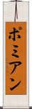 ポミアン Scroll