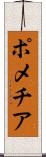 ポメチア Scroll