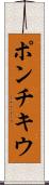 ポンチキウ Scroll