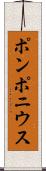 ポンポニウス Scroll