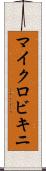 マイクロビキニ Scroll