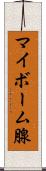 マイボーム腺 Scroll
