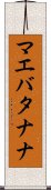 マエバタナナ Scroll