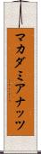 マカダミアナッツ Scroll