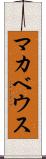 マカベウス Scroll