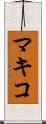 マキコ Scroll