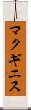 マクギニス Scroll