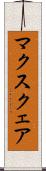 マクスクェア Scroll