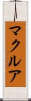 マクルア Scroll