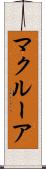マクルーア Scroll