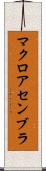 マクロ・アセンブラ Scroll