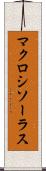 マクロシソーラス Scroll