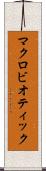 マクロビオティック Scroll