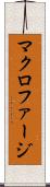 マクロファージ Scroll