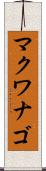 マクワナゴ Scroll