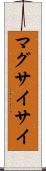 マグサイサイ Scroll
