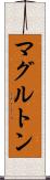 マグルトン Scroll